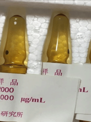 ѧԼ